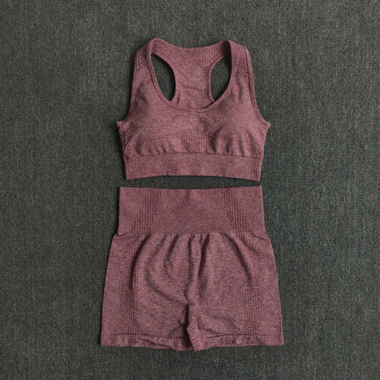 2/3/5PCS Seamless Leggings/Shorts/Sports bra/Long sleeve