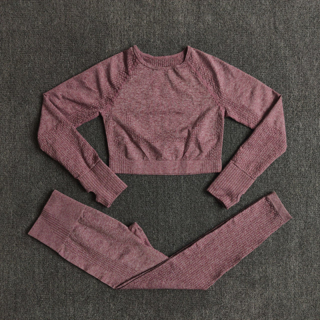 2/3/5PCS Seamless Leggings/Shorts/Sports bra/Long sleeve