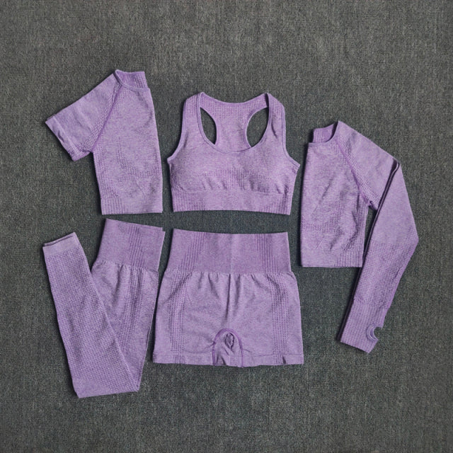 2/3/5PCS Seamless Leggings/Shorts/Sports bra/Long sleeve