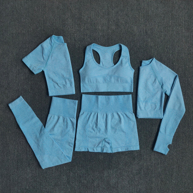 2/3/5PCS Seamless Leggings/Shorts/Sports bra/Long sleeve