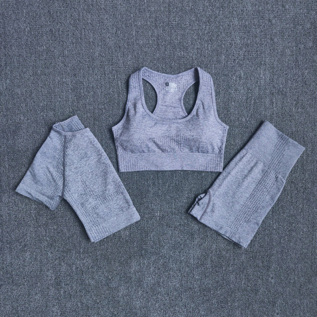 2/3/5PCS Seamless Leggings/Shorts/Sports bra/Long sleeve