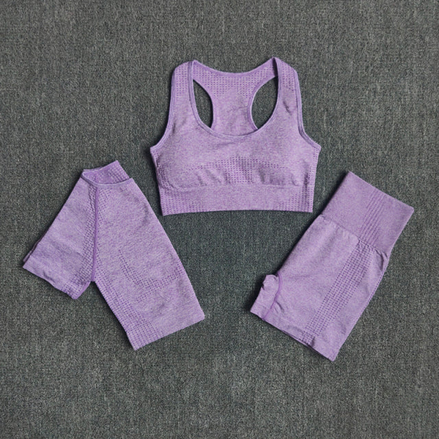 2/3/5PCS Seamless Leggings/Shorts/Sports bra/Long sleeve