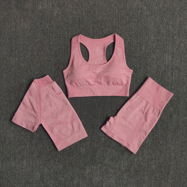 2/3/5PCS Seamless Leggings/Shorts/Sports bra/Long sleeve