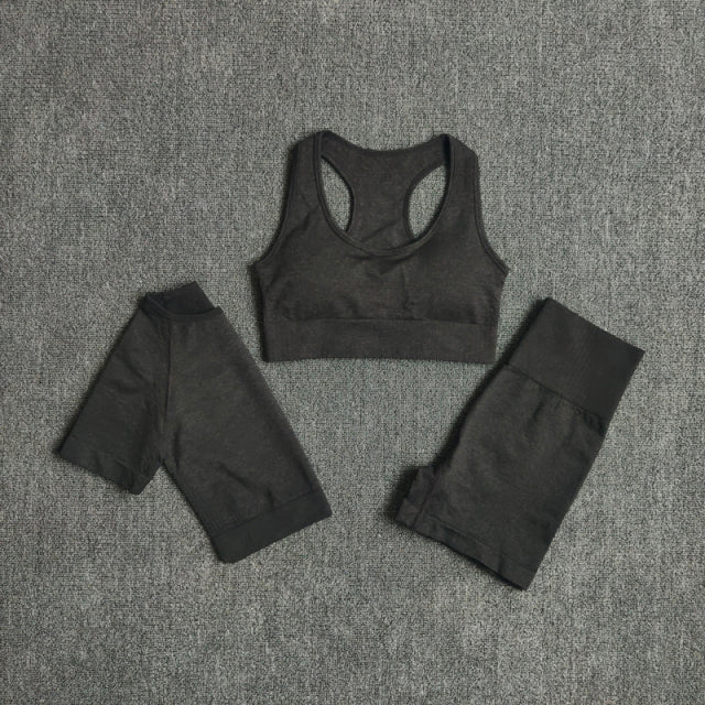 2/3/5PCS Seamless Leggings/Shorts/Sports bra/Long sleeve