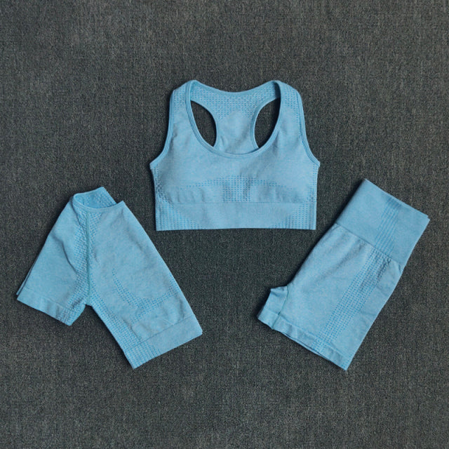 2/3/5PCS Seamless Leggings/Shorts/Sports bra/Long sleeve