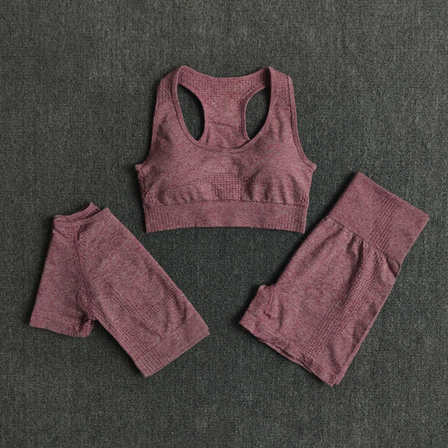 2/3/5PCS Seamless Leggings/Shorts/Sports bra/Long sleeve